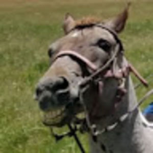 Meet your Posher, Avery